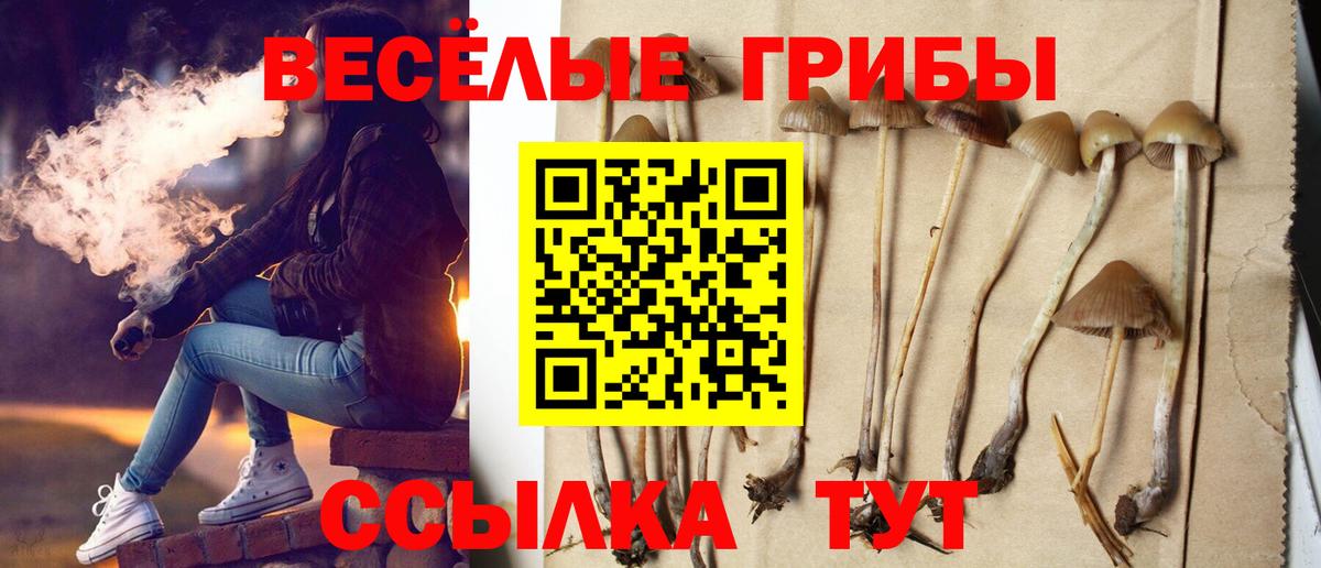 Галлюциногенные грибы мухоморы Боровичи